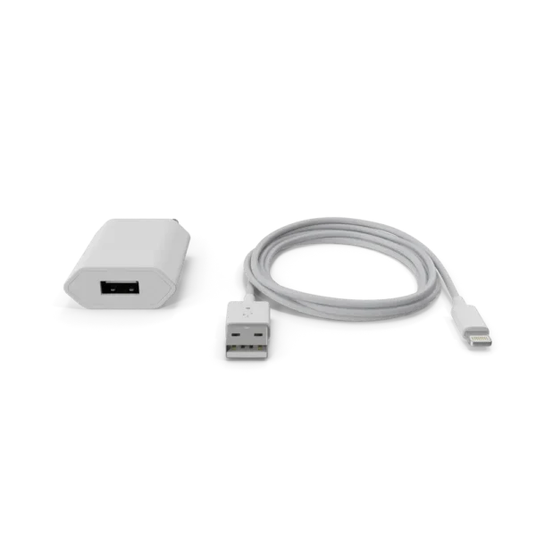 iPhone Charger